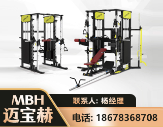 湘西多功能综合训练器