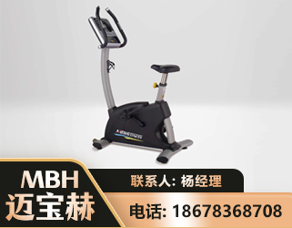 湘西立式健身车
